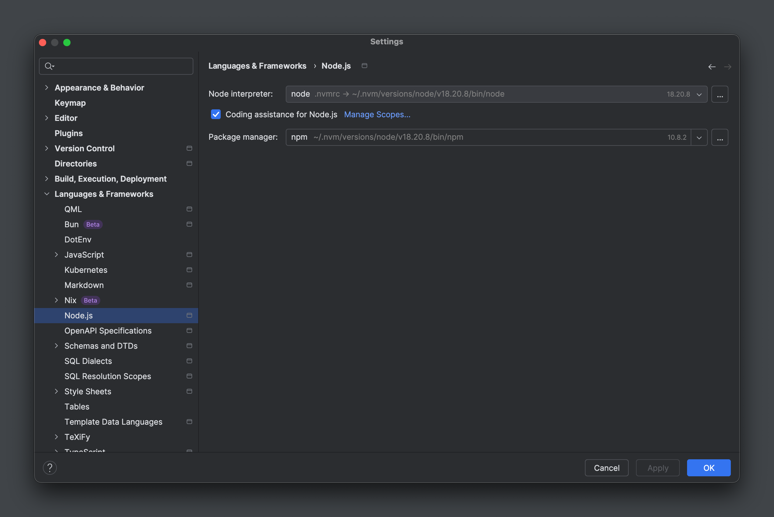WebStorm settings Node.js